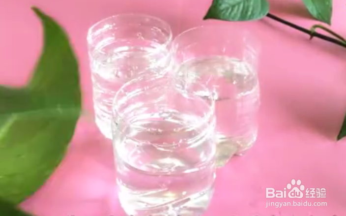 一根绿萝水培怎么剪成多个