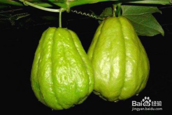 适合养肝吃的5种食物