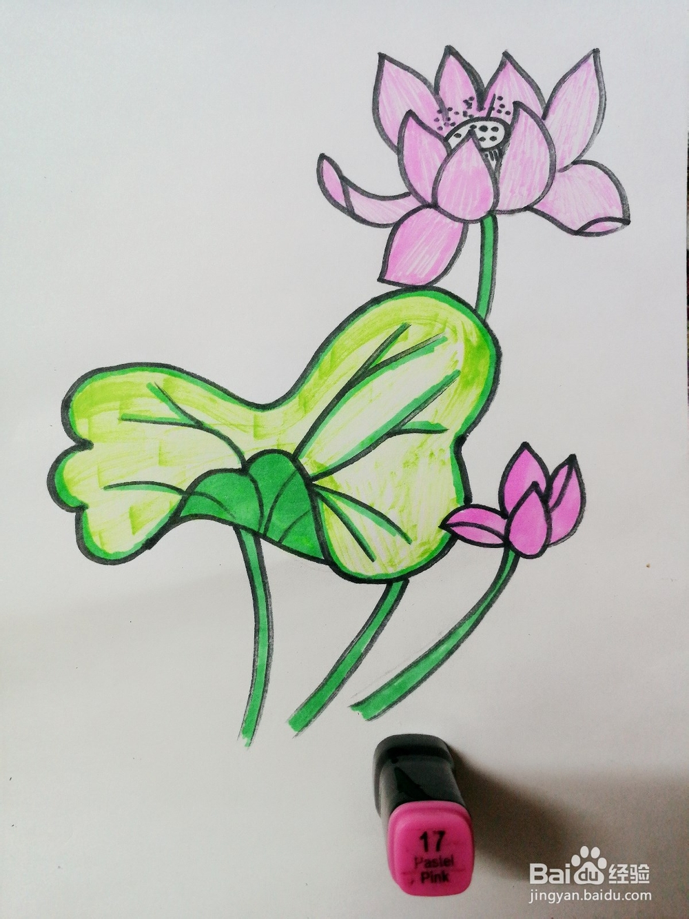 彩绘荷花卡通绘本插图