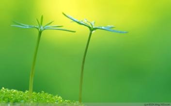 失眠了怎么办？