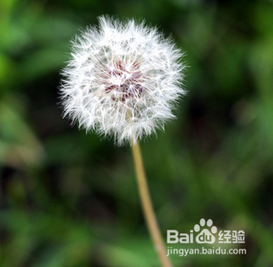 如何成为孟非那样的人,怎样才能和孟非一样睿智