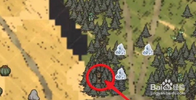 饥荒活木怎么获得