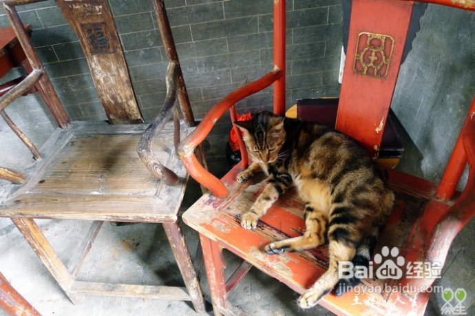 66@365【洪坑】土楼精华一日游