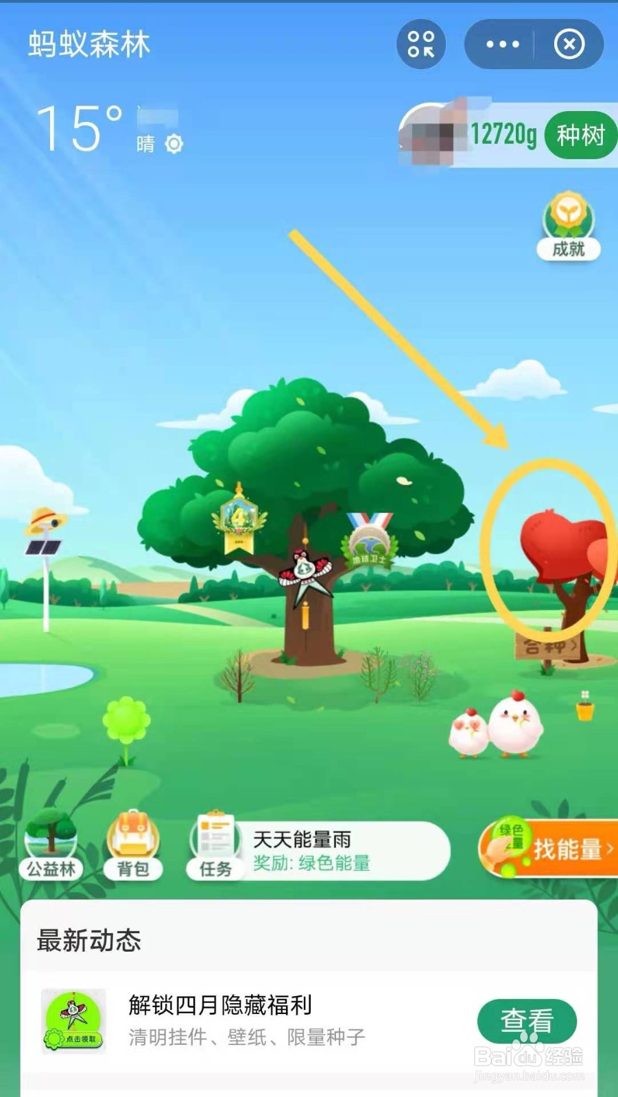 如何在支付宝蚂蚁森林中给合种的树浇水