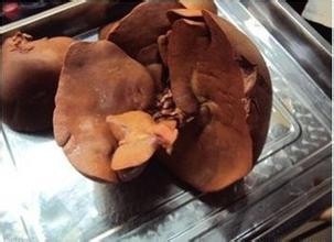 胡萝卜猪肝煲的做法