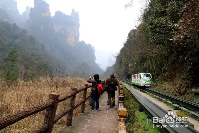 张家界怎样安排自助游好