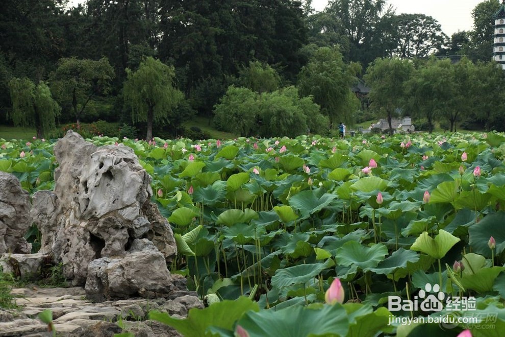 南京旅游景点网红打卡点