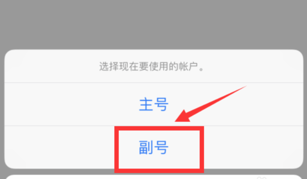 苹果怎么用副卡发短信