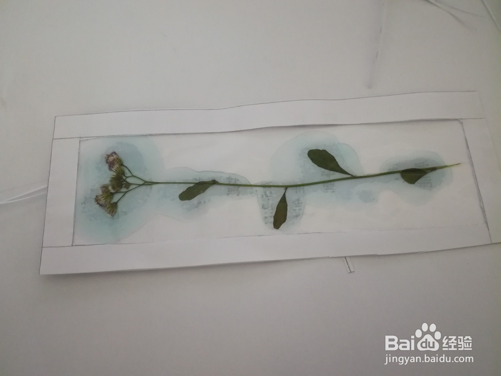植物书签的制作
