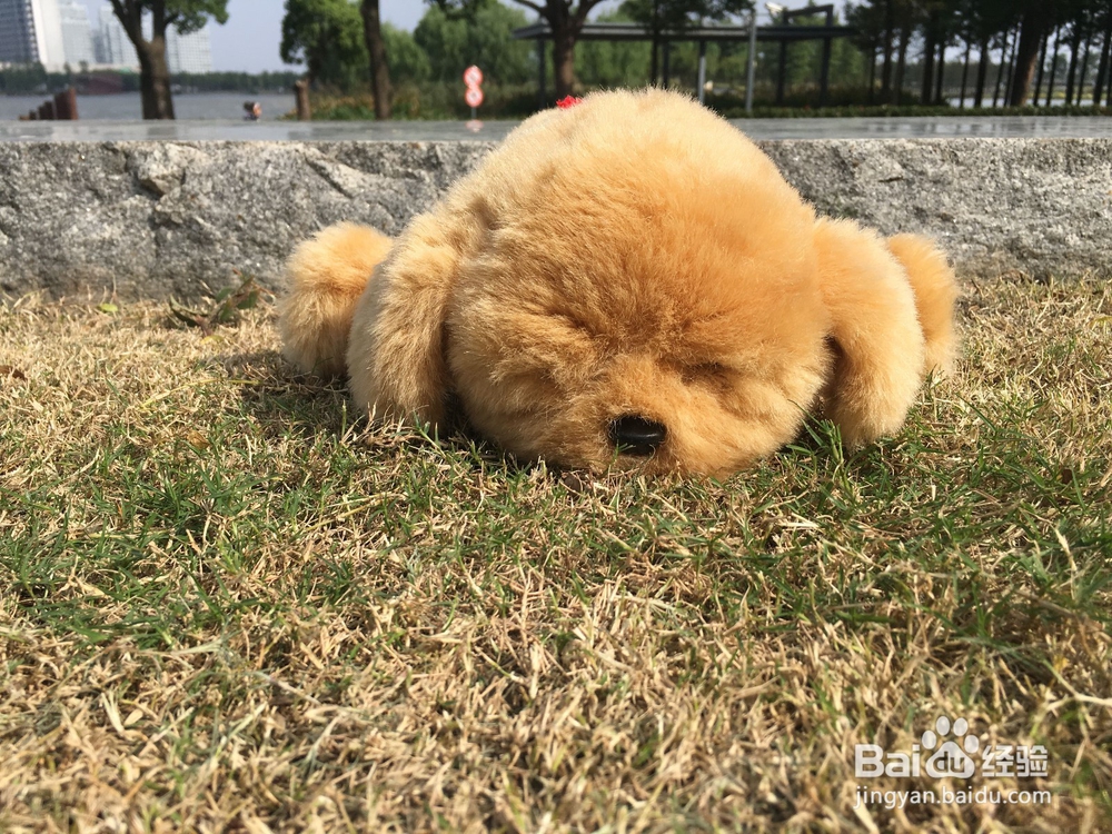 陪伴孩子童年的玩具