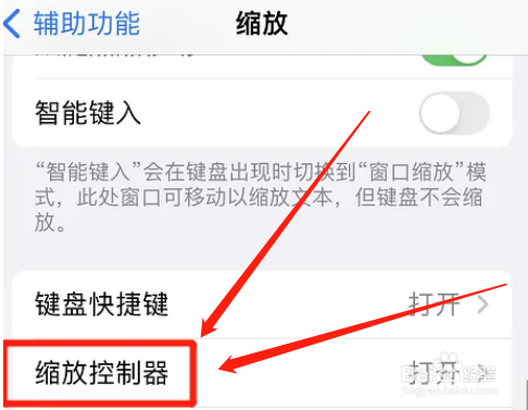 苹果缩放控制器怎么设置颜色