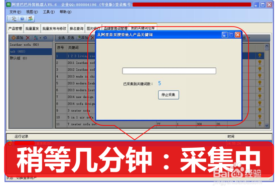 阿里巴巴国际站关键词关键词一键采集和分析