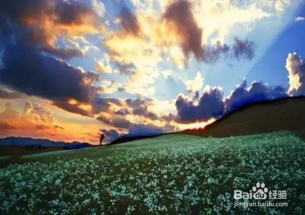 中国6大草原，这个夏天最值得一去！