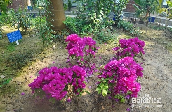 韩国光州牛峙公园旅游攻略