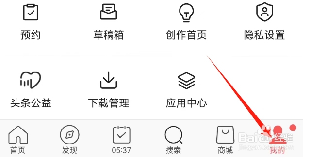 头条搜索极速版查看H5广告过滤的方法？
