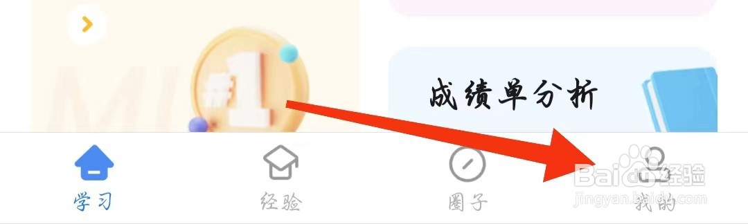 羊驼RTE如何查看隐私政策
