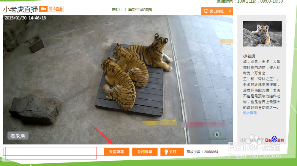 怎么使用百度动物园