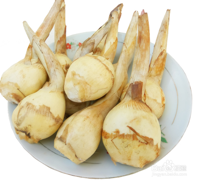 慈菇怎么处理