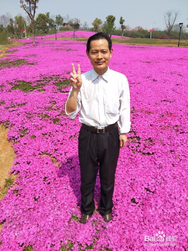 如何从国家层面践行“社会主义核心价值观”？