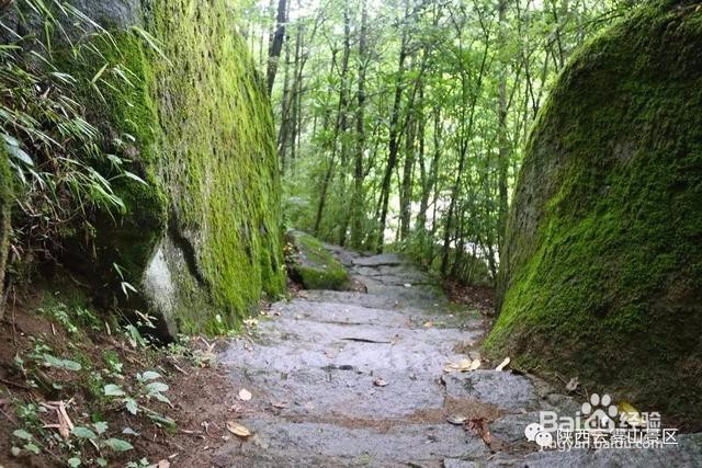 这才是云雾山游玩的正确方式