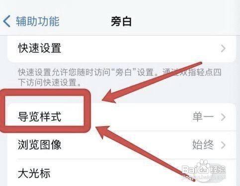 苹果手机在哪设置单一导览样式呢