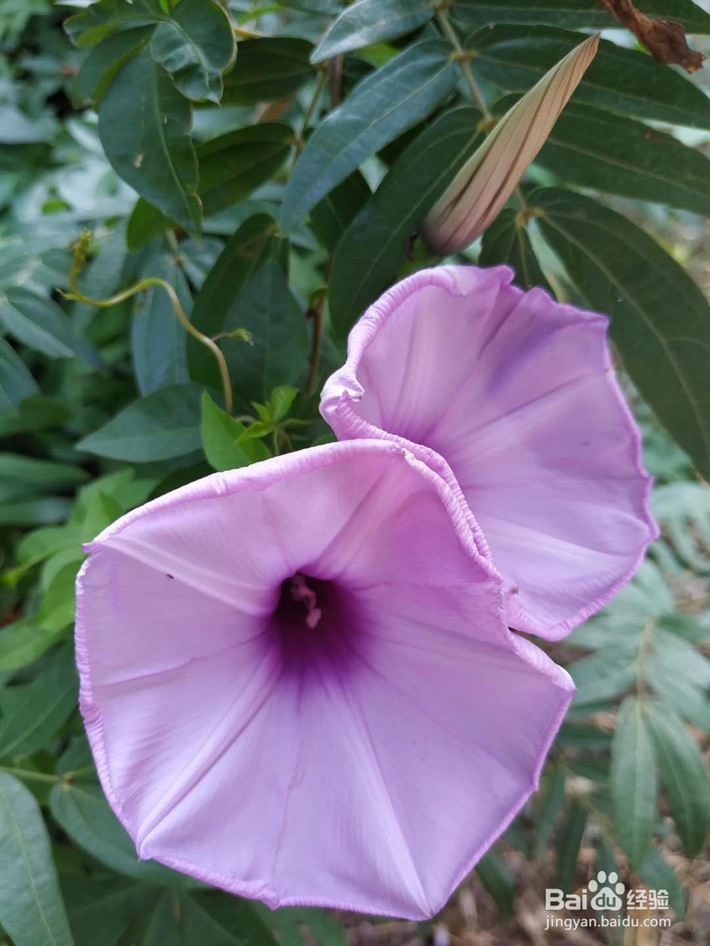 如何拍出好的相片？