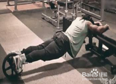 如何使用健腹轮