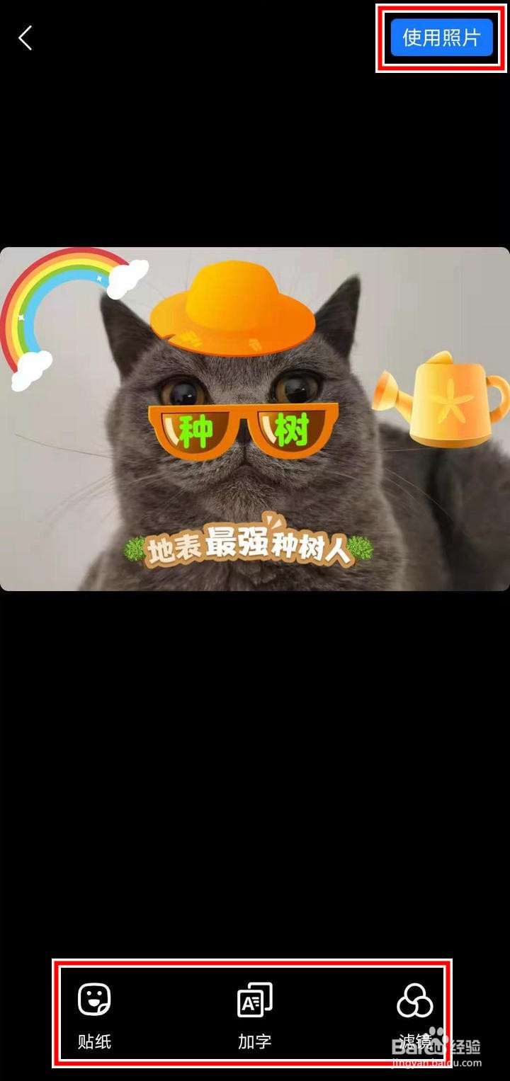 蚂蚁庄园的我们都是种树人怎么发布有奖动态