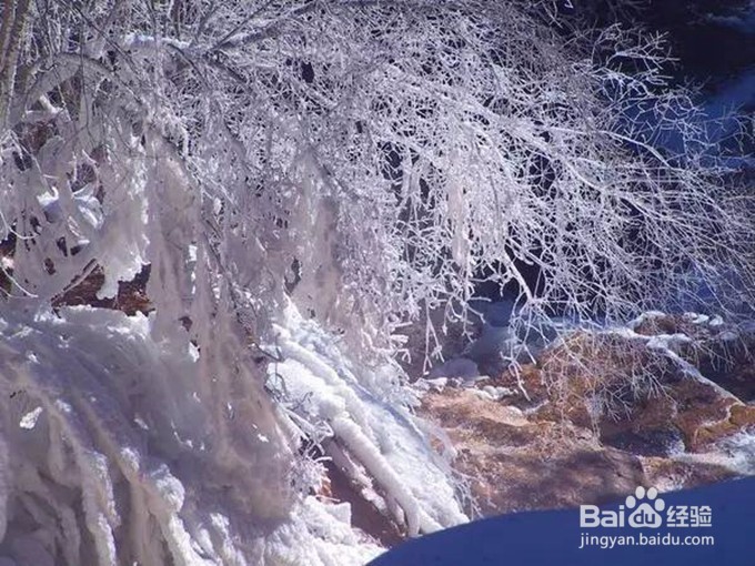 四川赏雪圣地攻略