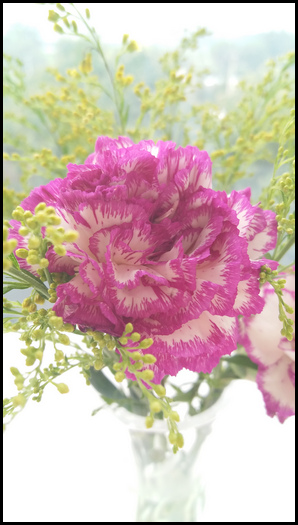 Samsung Galaxy C7 SM-C7000(6.0.1)如何使用专业模式拍照?