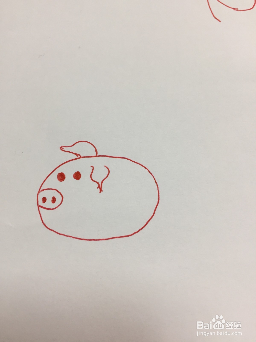 怎么画猪简单好学