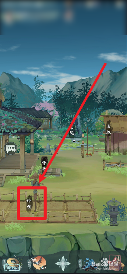 江湖悠悠金针菇怎么种植