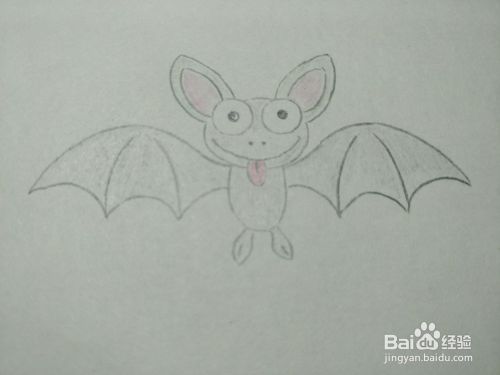彩铅简笔画画蝙蝠