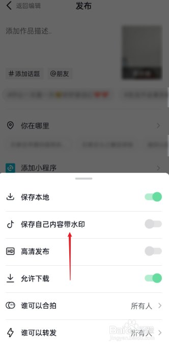 抖音水印设置开关在哪