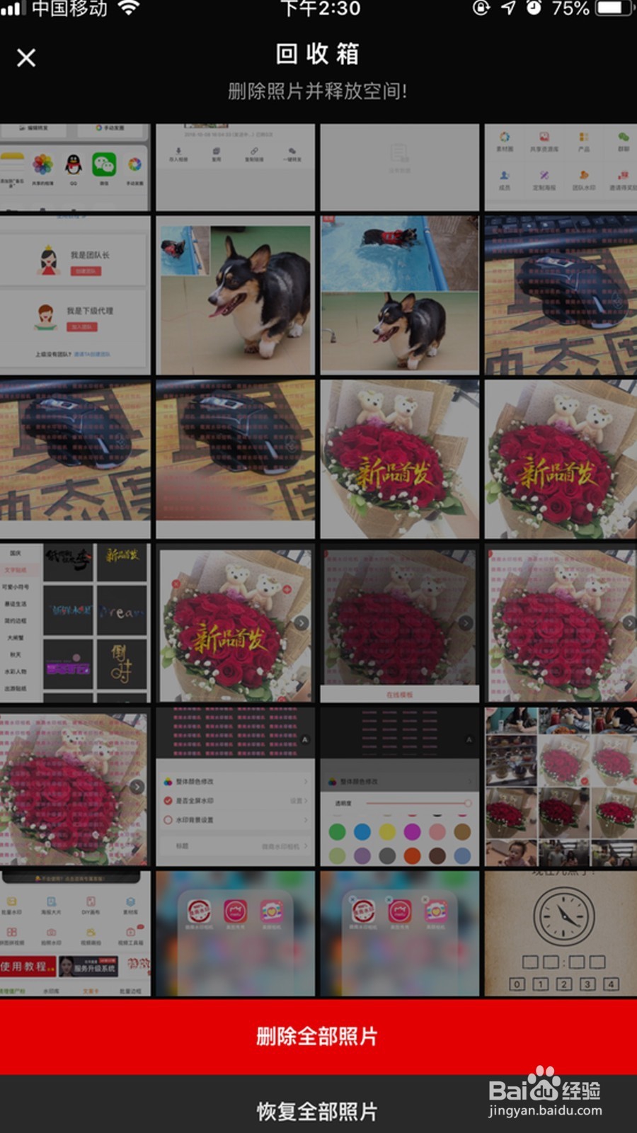 苹果手机怎么快速整理图片