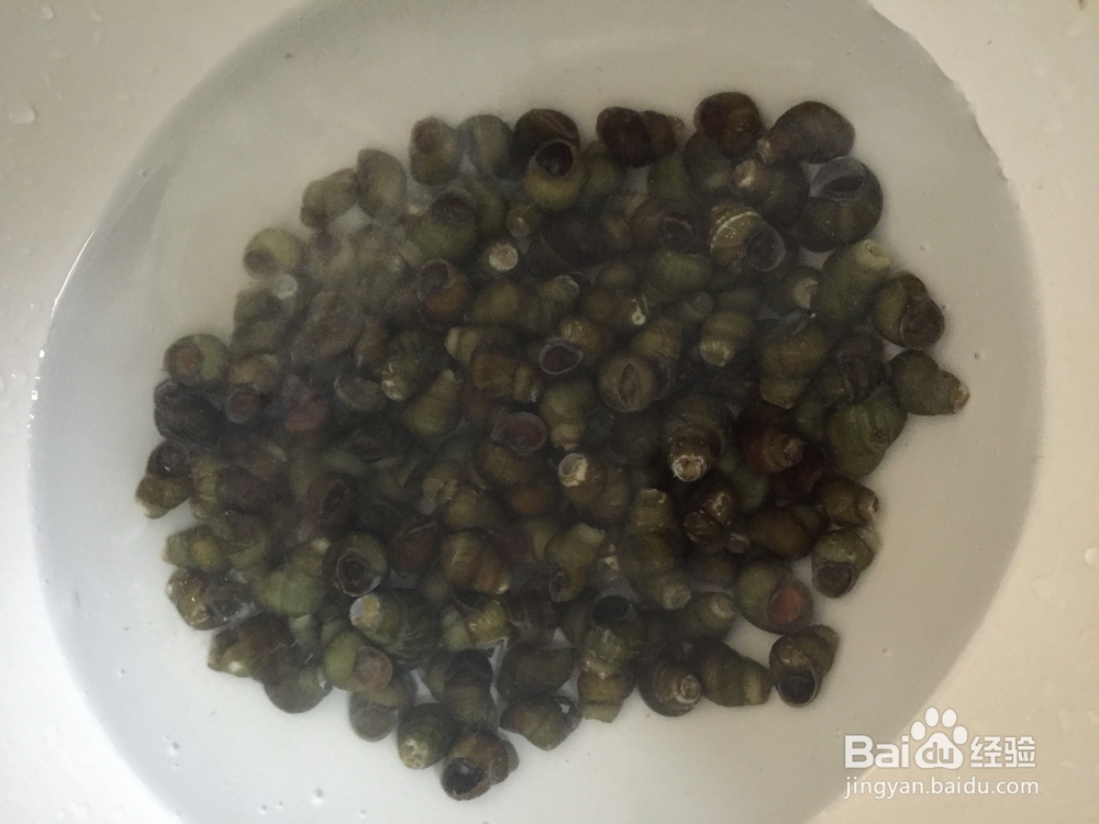 酱爆螺蛳的个人快速法