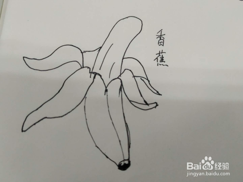 如何正确的剥香蕉皮 3fc72e486143d7d4816aff587da75f0f832b50f3.jpg?x-bce-process=image%2Fresize%2Cm_lfit%2Cw_500%2Climit_1