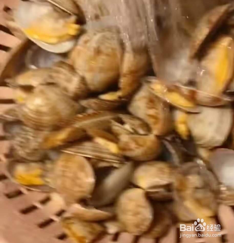 美味花甲的做法?