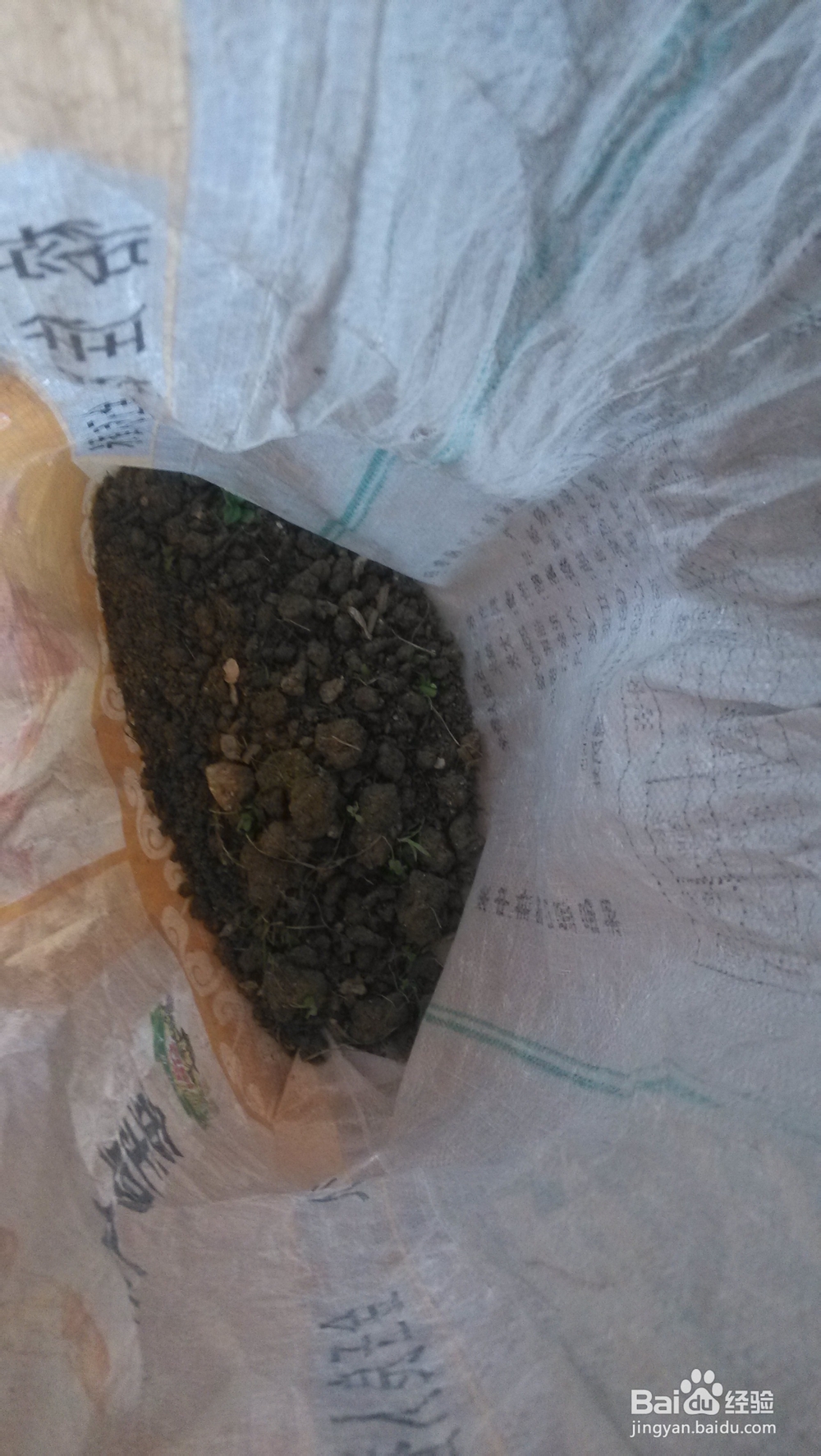 如何利用废弃的小花盆给家里添加盆栽