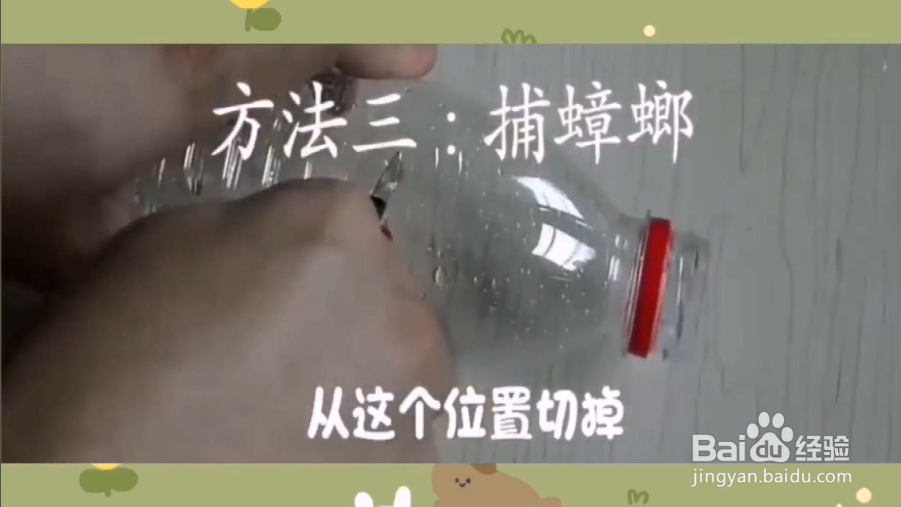 如何去除蟑螂？