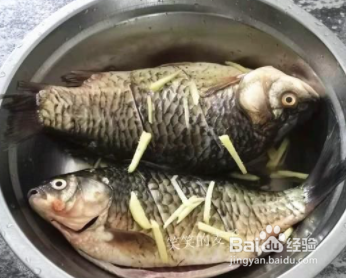 如何做鲫鱼豆腐汤