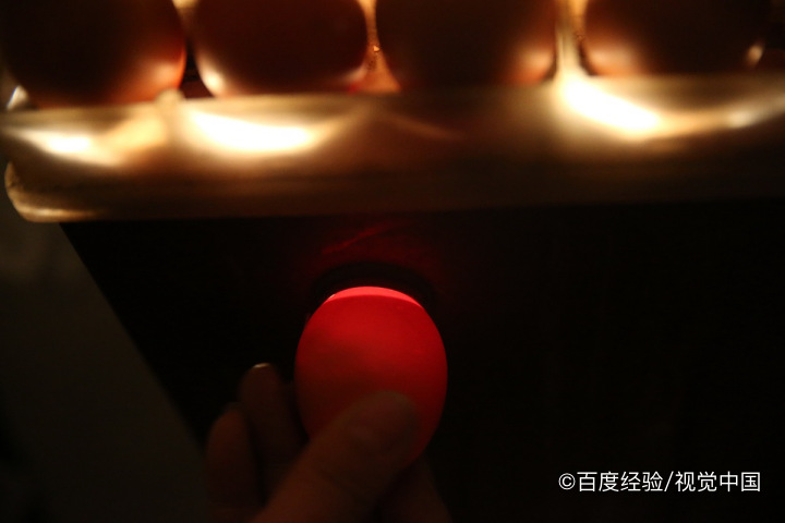 孵化前怎么分辨无精蛋