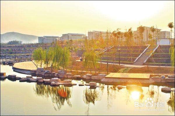 #萌新听我说#山东财经大学圣井校区学习攻略