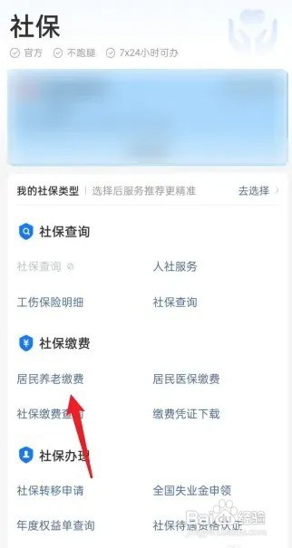 个人缴纳养老保险怎么交