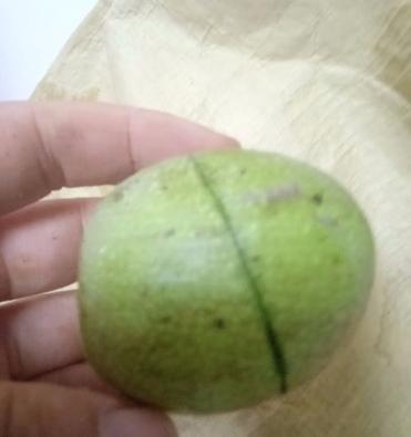 鲜核桃怎么去青皮