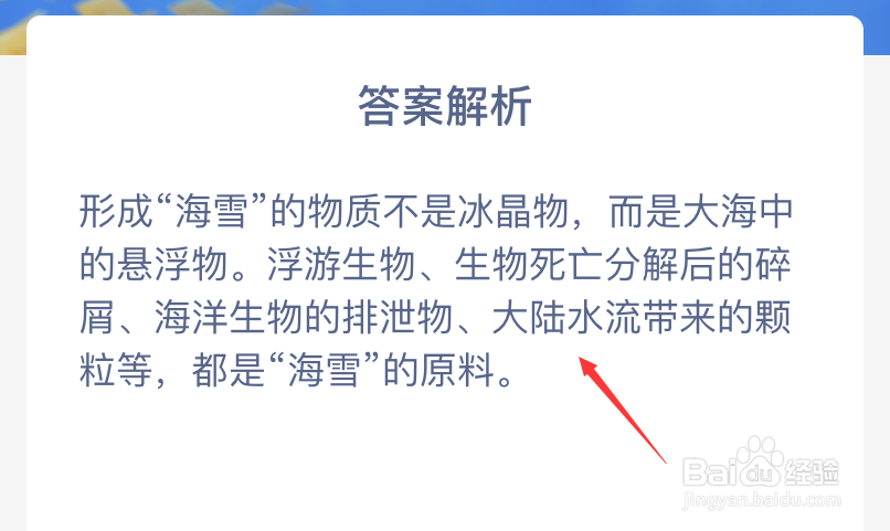 神奇海洋海底也会下雪这种雪其实是