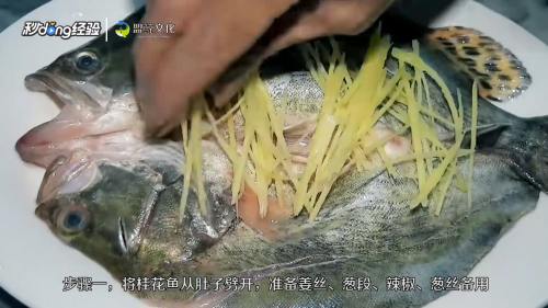 清蒸桂花鱼的做法 百度经验