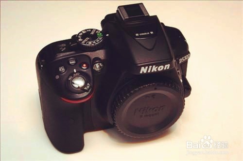 Nikon D5300完全摄影指南
