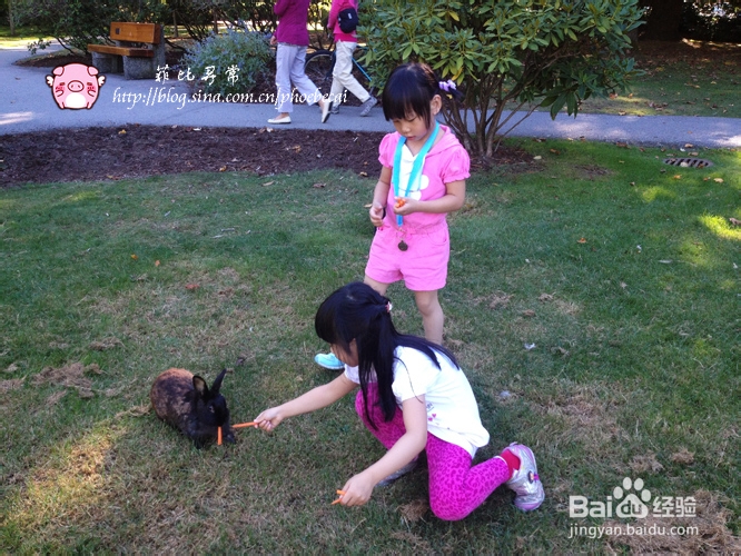 教你做吮指酒糟凤爪