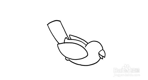 红包鸟简笔画步骤分解